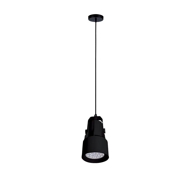 Pendul, Elmark, Sky, 1X E27, Par30, Lumina rece (6400K), Negru, 93Sky2211Pcw/Bl